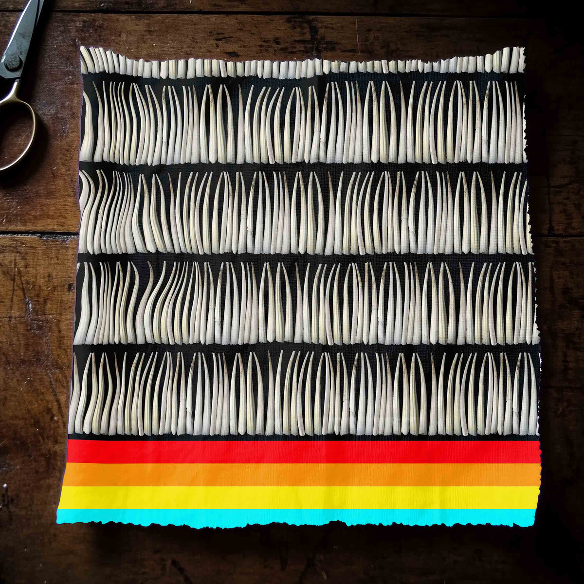 Dentalium on Black Cotton Poplin