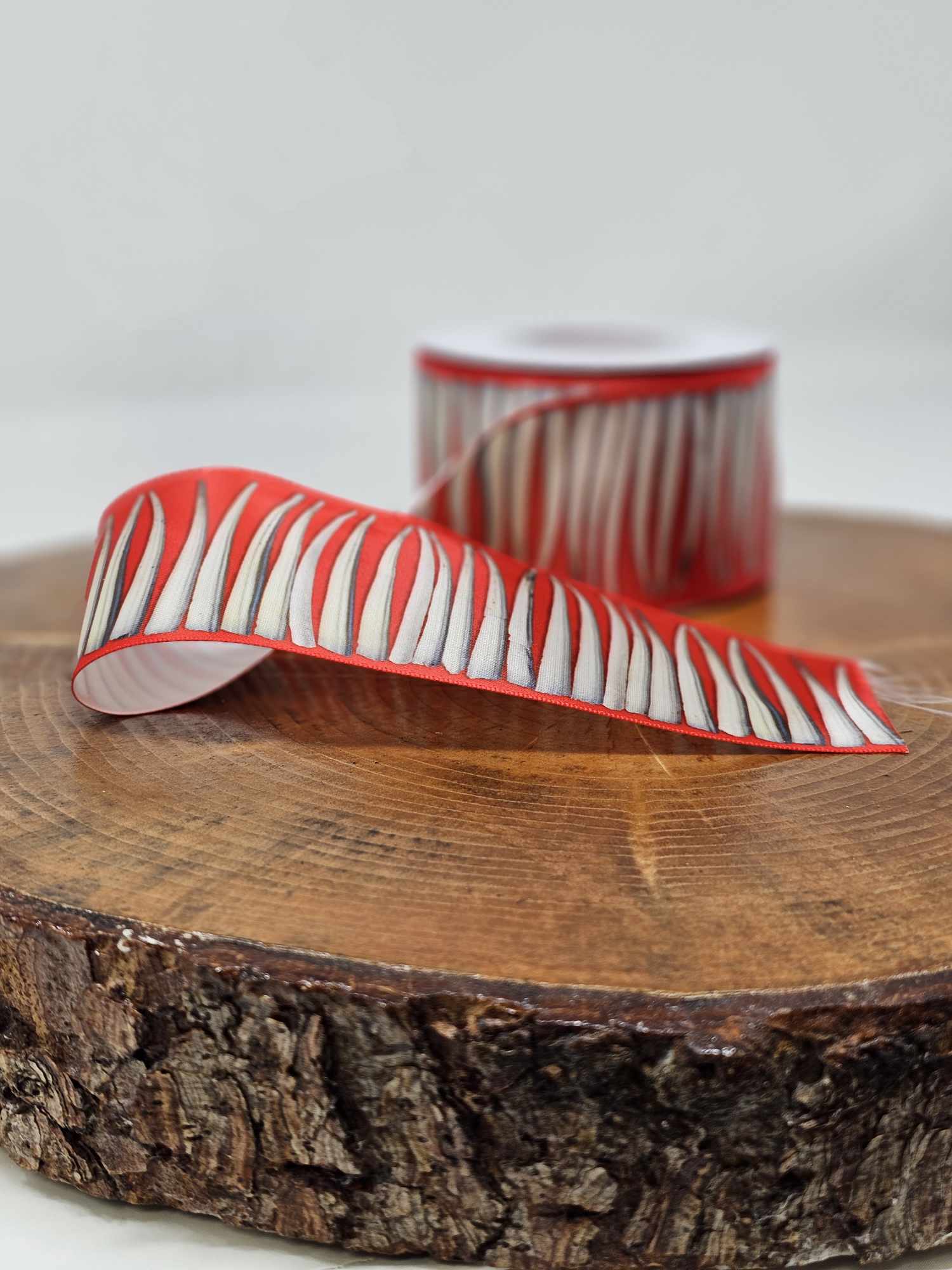 Dentalium Ribbon Red Printed Ribbon